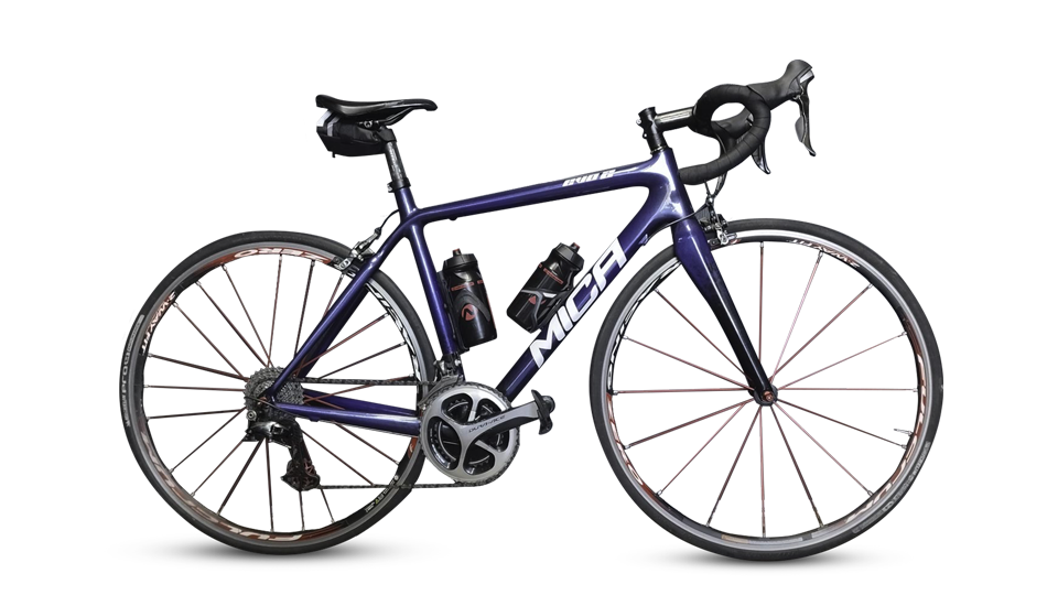 le-mica